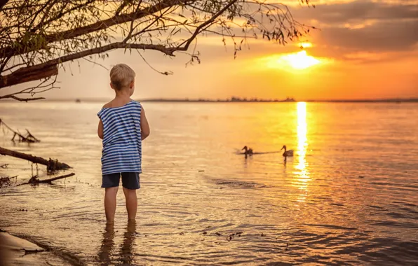 Picture landscape, sunset, nature, lake, boy, child, Regina Gushchina