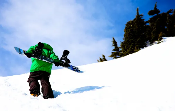 Picture snowboard, 686, rider