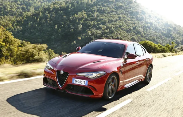 Alfa Romeo, Alfa Romeo, Giulia, Julia