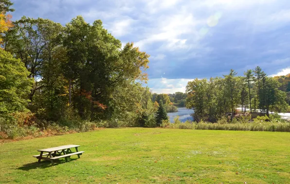 Picture field, autumn, the sky, trees, trees, Autumn