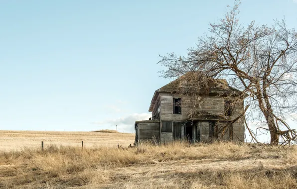 The sky, house, tree
