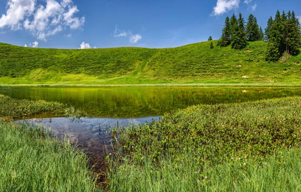 Picture greens, the sky, grass, the sun, trees, lake, hills, Germany