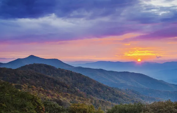Picture forest, the sun, clouds, mountains, dawn, morning