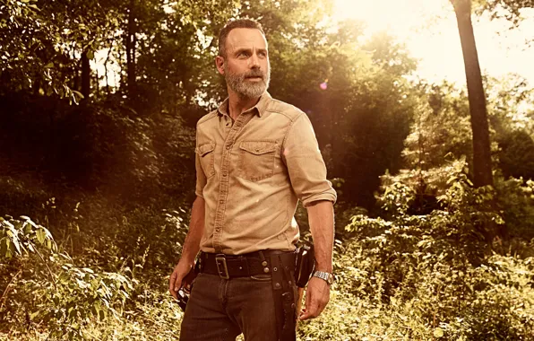 The sun, trees, jeans, frame, male, the series, shirt, beard