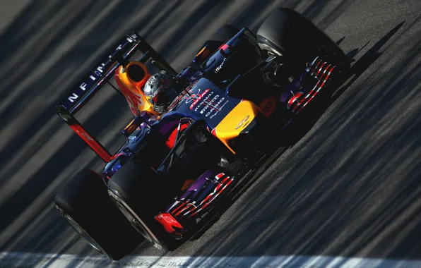 Racer, Formula 1, Red Bull, Vettel, Champion, Sebastian, RB10