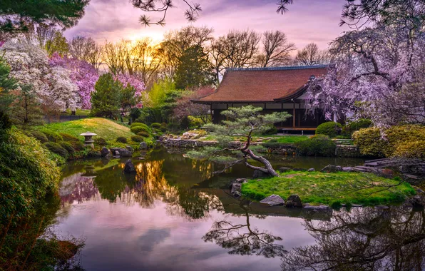 Picture USA, Pennsylvania, Philadelphia, Jason Gambon, Shofuso Japanese Cultural Center