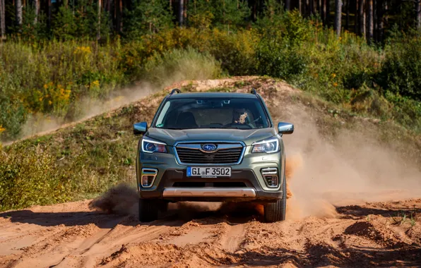 Subaru, front view, crossover, Forester, 2019