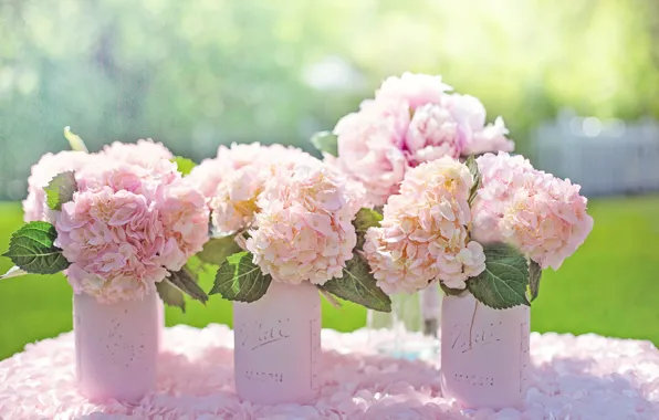 Light, flowers, lawn, bouquet, petals, garden, pink, light background