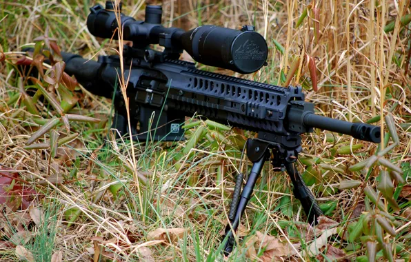 Picture grass, weapons, rifle, automatic, fry, ‎AR-10
