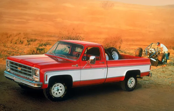 Picture background, Chevrolet, Chevrolet, pickup, the front, buggy, 1979, Silverado