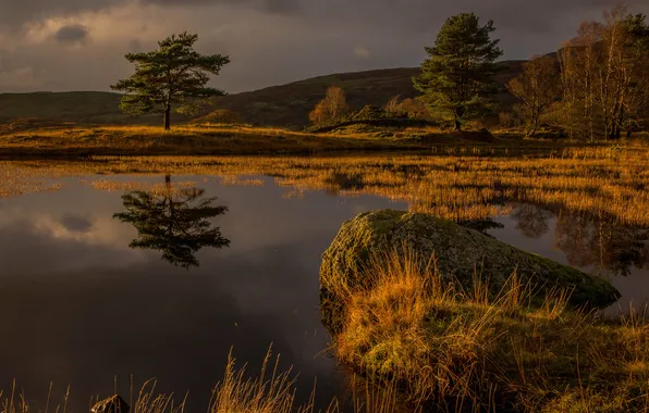 Autumn, the sky, trees, clouds, lake, stones, England