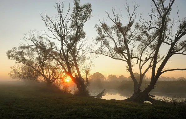 Landscape, sunset, fog, river