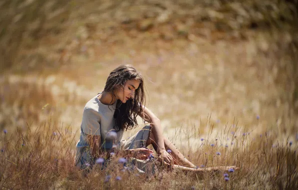 Wallpaper summer, girl, field