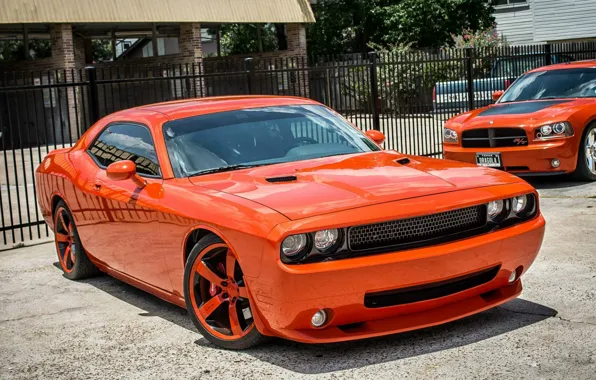 Wallpaper Orange, Dodge, Challenger, Orange, Charger, Car, R T 