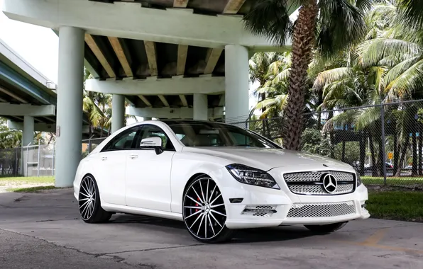 Picture Mercedes, with, front, color, CLS550, matched, gril