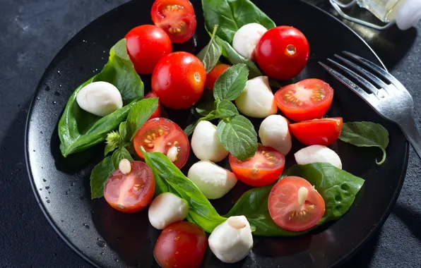 Tomatoes, salad, Basil, mozzarella