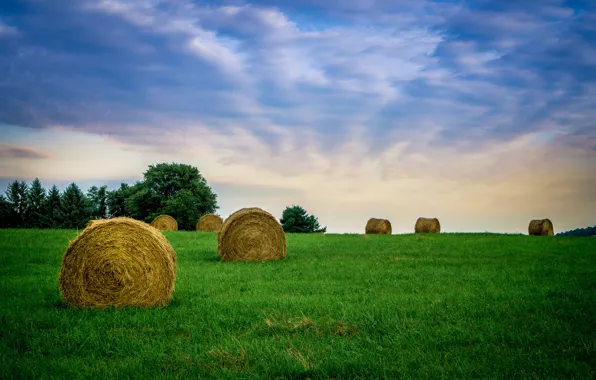 Picture field, the sky, grass, clouds, hay, farm