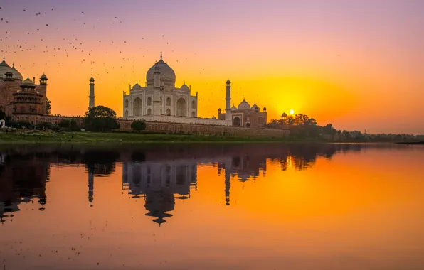 Picture the sky, the sun, sunset, orange, reflection, dawn, bird, shore