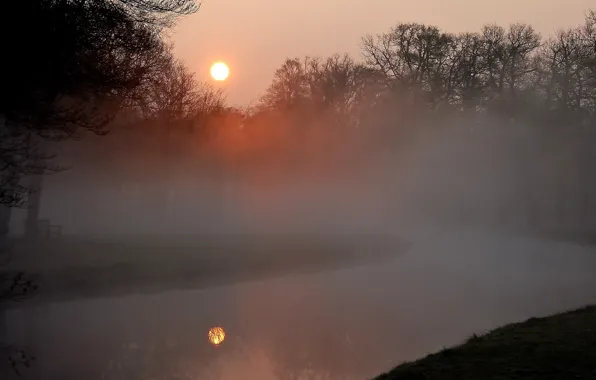 Picture Fog, Spring, Pond, Morning, April, Spring, Morning, Reflection