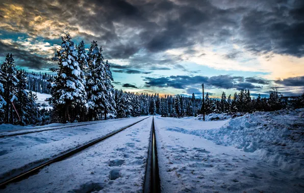 Winter, forest, snow, trees, sunset, clouds, rails, railroad