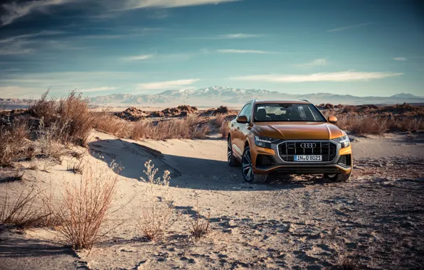 Quattro, 2018, crossover, S-Line, 50 TDI, Audi Q8