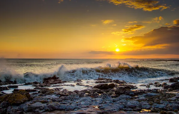 Picture wave, the sky, clouds, sunset, horizon, surf