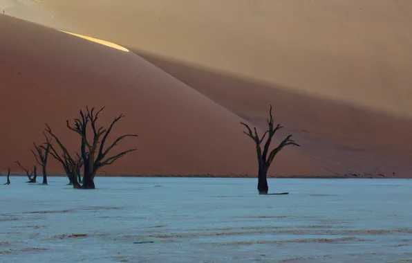 Picture desert, africa, dunes, Deadvlei, namibia