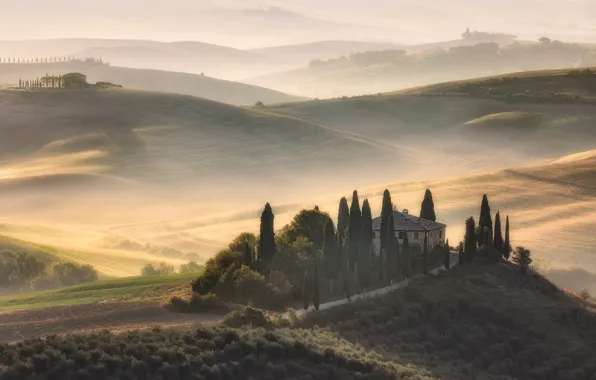 Road, fog, house, hills, the slopes, view, field, dal