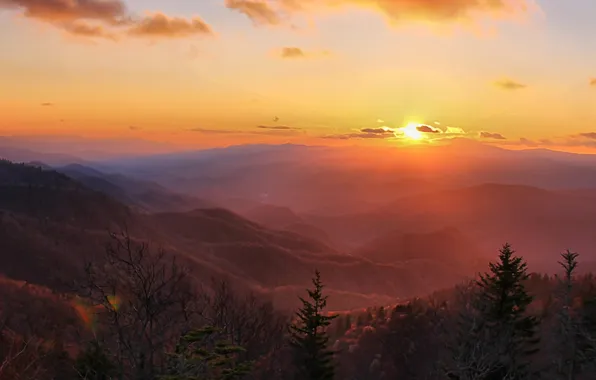 Picture forest, the sky, clouds, landscape, sunset, mountains, nature, the evening