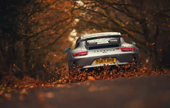 Road, leaves, 911, Porsche, Porsche, GT3