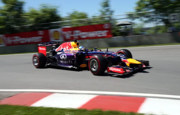 Racer, Canada, Formula 1, Red Bull, Vettel, Champion, Sebastian, RB10
