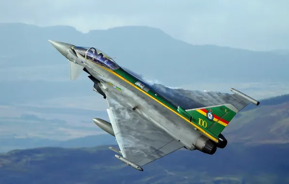 Weapons, the plane, Typhoon