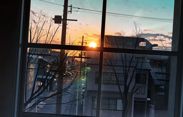 The sun, sunset, street, the view from the window