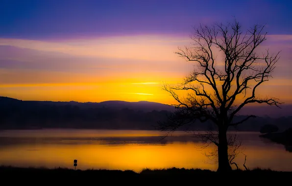 Picture the sky, mountains, lake, tree, the evening, glow