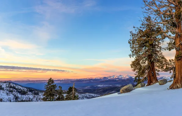 Winter, forest, the sky, clouds, snow, trees, mountains, stones