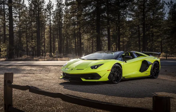 Roadster, Lamborghini, supercar, Aventador, 2020, SVJ, Aventador SVJ