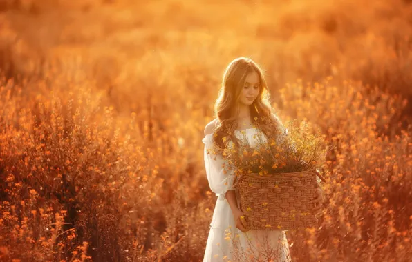 Field, girl, the sun, flowers, basket, hair, Nick Kolesnikov