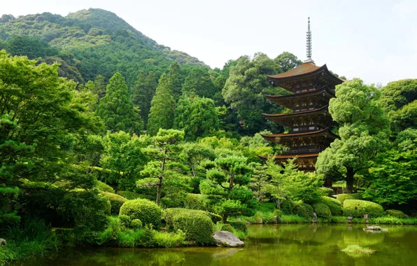 Picture greens, nature, pond, Park, Japan, Yamaguchi