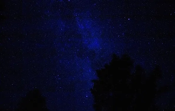Night, Stars, Starry sky