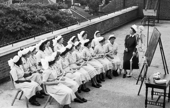 Picture roof, England, London, nurse, student, 1958, the anatomy lesson