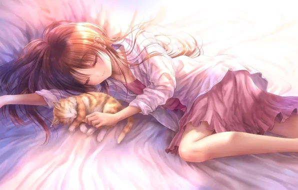 Cat, cat, anime, art, sleeping, girl