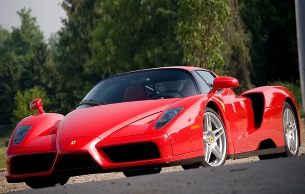 Picture red, background, Ferrari, Ferrari, supercar, Enzo, the front, Enzo