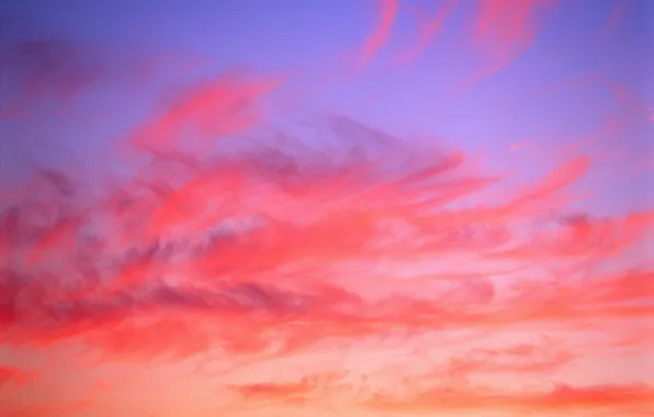 The sky, clouds, sunset, Wallpaper, dawn
