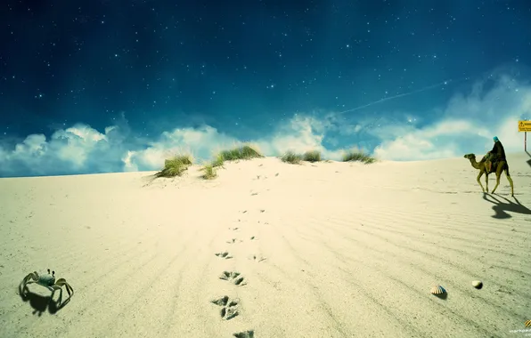 Sand, the sky, camel, Bedouin