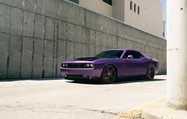 Dodge, SRT8, Challenger, Supercharged