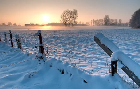 Picture winter, field, the sky, the sun, snow, trees, sunset, the fence