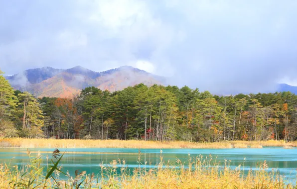Autumn, forest, clouds, mountains, lake