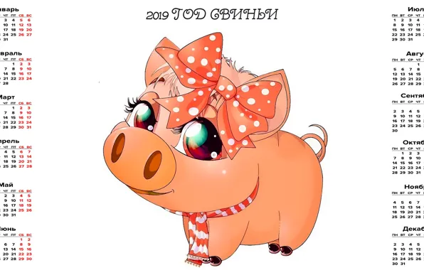 Picture pig, calendar, pig, 2019