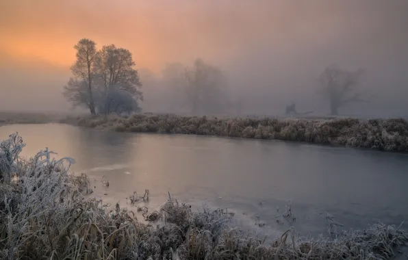 Frost, grass, trees, landscape, nature, fog, river, morning