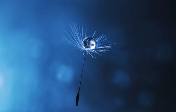 Drop, blue background, Fluff